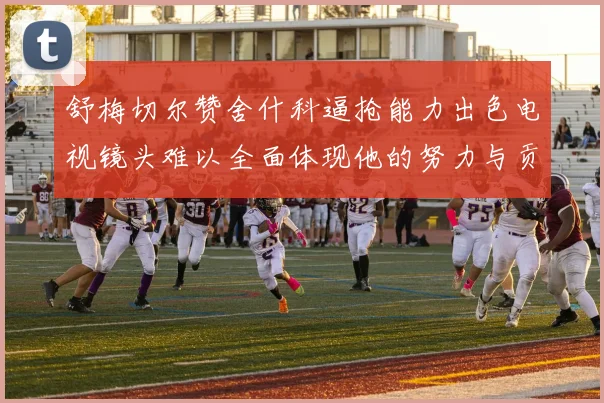 舒梅切尔赞舍什科逼抢能力出色电视镜头难以全面体现他的努力与贡献